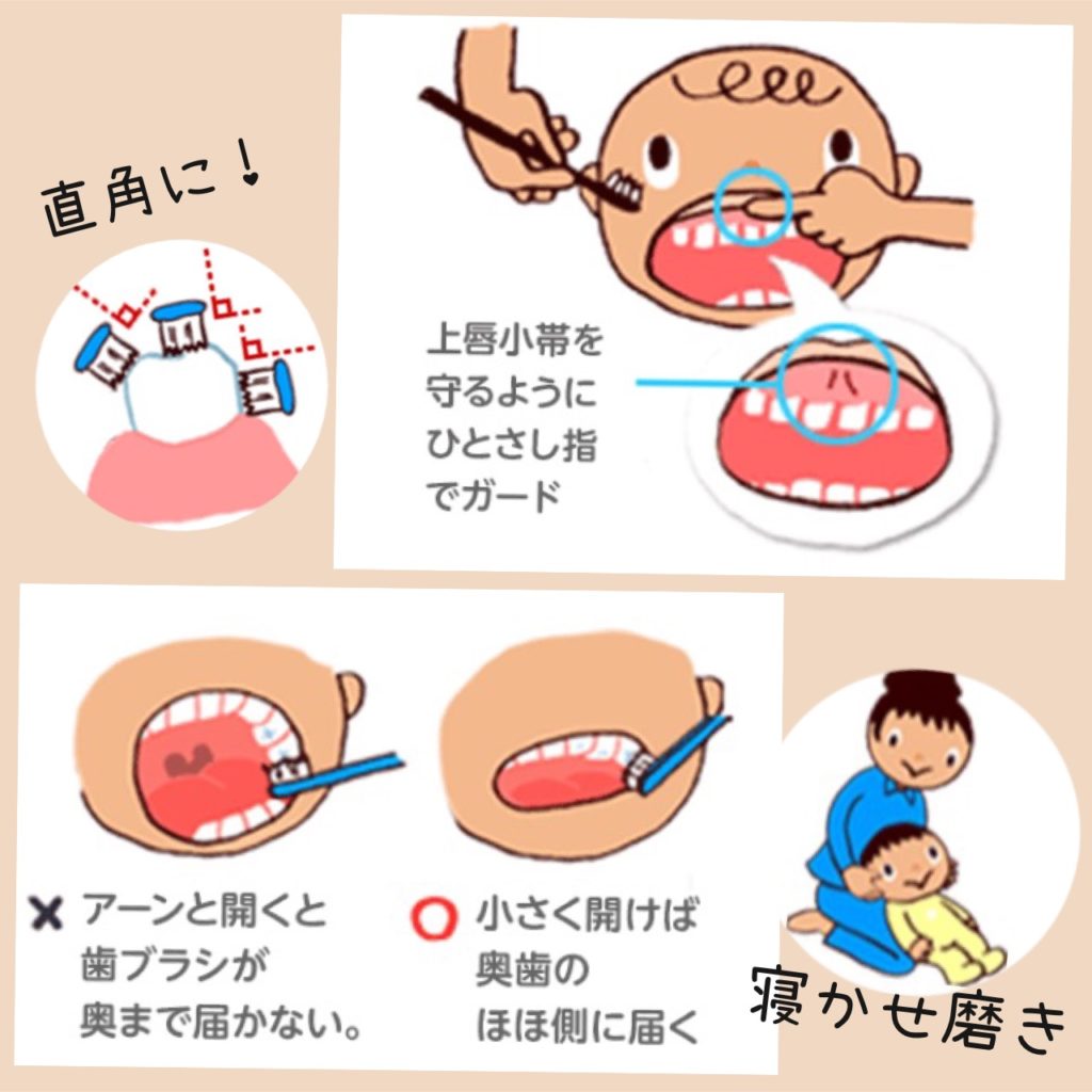 仕上げ磨き • ¨ • ¸¸♬ 座間市でインプラントやホワイトニング、矯正治療はしんどう歯科クリニック